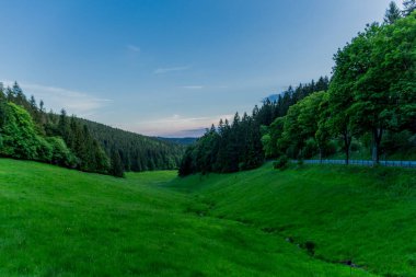 Thüringen Ormanı 'nda akşam fotoğrafı - Almanya