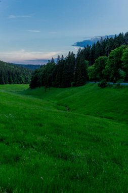 Thüringen Ormanı 'nda akşam fotoğrafı - Almanya