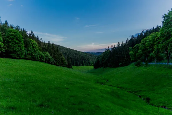 Вечірній Знімок Туринзькому Лісі Німеччина — стокове фото