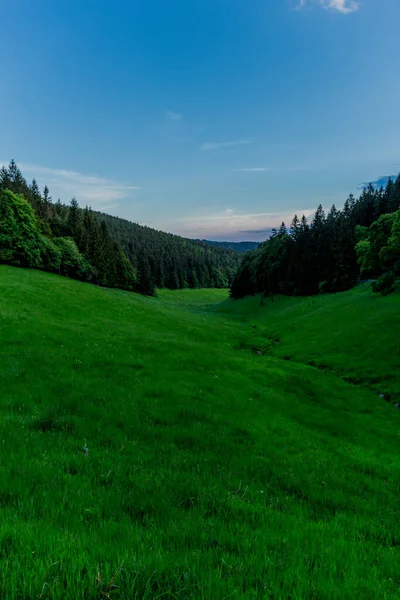 Abendlicher Schnappschuss Thüringer Wald Deutschland — Stockfoto