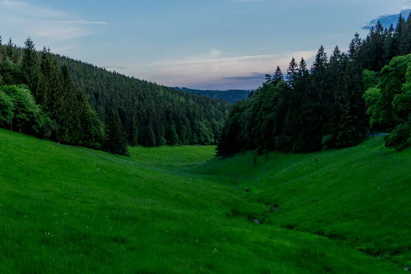 Abendlicher Schnappschuss Thüringer Wald Deutschland — Stockfoto