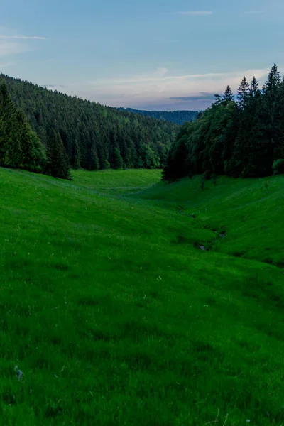 Večerní Snímek Durynském Lese Německo — Stock fotografie