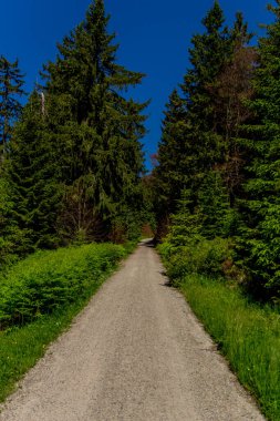 Güneşli bir yaz günü Fichtelgebirge - Bischofsgruen / Almanya