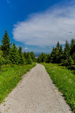 Güneşli bir yaz günü Fichtelgebirge - Bischofsgruen / Almanya