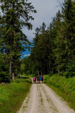 Güneşli bir yaz günü Fichtelgebirge - Bischofsgruen / Almanya