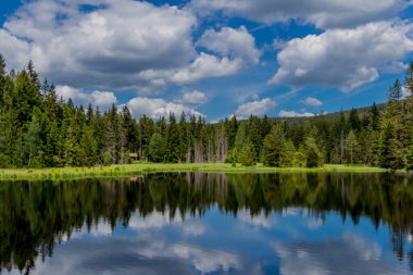 Güneşli bir yaz günü Fichtelgebirge - Bischofsgruen / Almanya