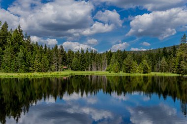 Güneşli bir yaz günü Fichtelgebirge - Bischofsgruen / Almanya
