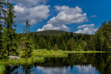 Güneşli bir yaz günü Fichtelgebirge - Bischofsgruen / Almanya