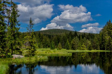Güneşli bir yaz günü Fichtelgebirge - Bischofsgruen / Almanya