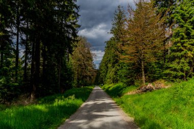 Güneşli bir yaz günü Fichtelgebirge - Bischofsgruen / Almanya