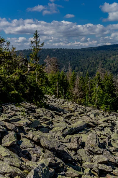 Zonnige Excursie Een Zomerdag Door Het Fichtelgebergte Bischofsgruen Duitsland — Stockfoto