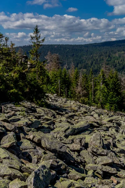 Excursion Ensoleillée Par Une Journée Été Travers Fichtelgebirge Bischofsgruen Allemagne — Photo