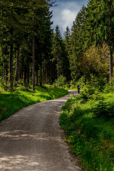 Zonnige Excursie Een Zomerdag Door Het Fichtelgebergte Bischofsgruen Duitsland — Stockfoto