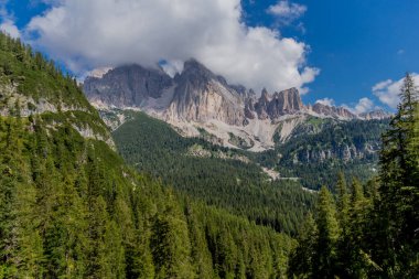 Güney Tyrol Alpleri 'nde yaz tatili ve yürüyüş hissi - Güney Tyrol / İtalya