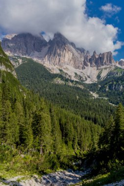 Güney Tyrol Alpleri 'nde yaz tatili ve yürüyüş hissi - Güney Tyrol / İtalya