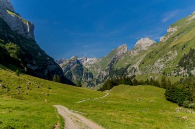 İsviçre 'deki Appenzell dağlarında güzel bir keşif turu. - Appenzell / Alpstein / İsviçre