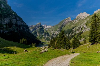 İsviçre 'deki Appenzell dağlarında güzel bir keşif turu. - Appenzell / Alpstein / İsviçre