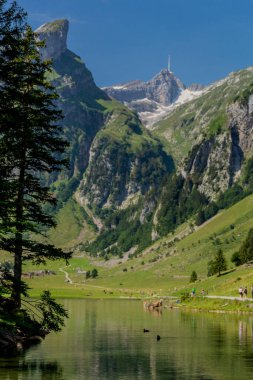 İsviçre 'deki Appenzell dağlarında güzel bir keşif turu. - Appenzell / Alpstein / İsviçre