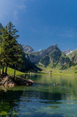 İsviçre 'deki Appenzell dağlarında güzel bir keşif turu. - Appenzell / Alpstein / İsviçre