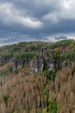 Farklı yerlerdeki Saksonya / Almanya 'daki Saksonya gezisi.