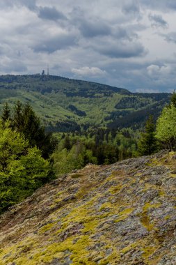 Thüringen Ormanı - Thüringen / Almanya 'da keşif turu