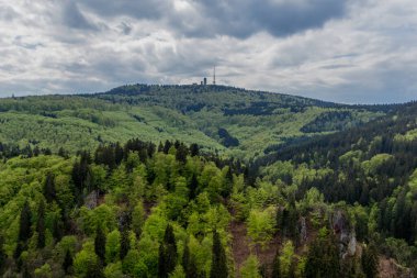 Thüringen Ormanı - Thüringen / Almanya 'da keşif turu