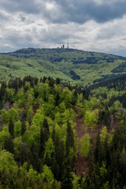 Thüringen Ormanı - Thüringen / Almanya 'da keşif turu