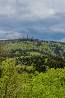 Thüringen Ormanı - Thüringen / Almanya 'da keşif turu