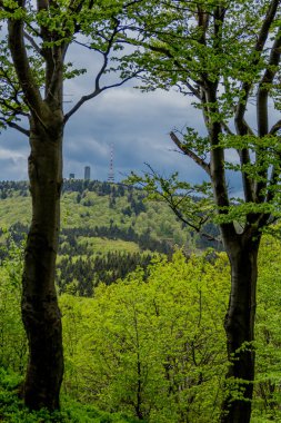 Thüringen Ormanı - Thüringen / Almanya 'da keşif turu