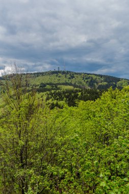 Thüringen Ormanı - Thüringen / Almanya 'da keşif turu