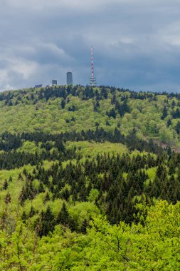 Thüringen Ormanı - Thüringen / Almanya 'da keşif turu