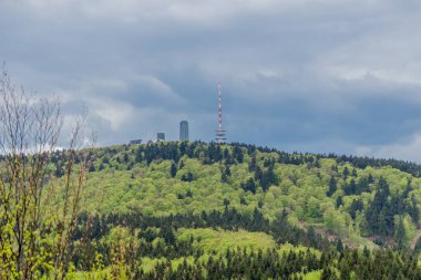 Thüringen Ormanı - Thüringen / Almanya 'da keşif turu