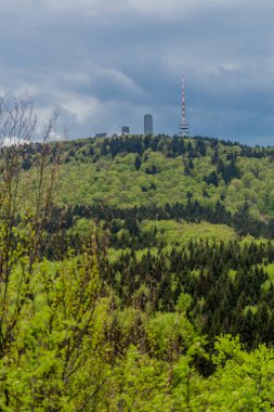 Thüringen Ormanı - Thüringen / Almanya 'da keşif turu