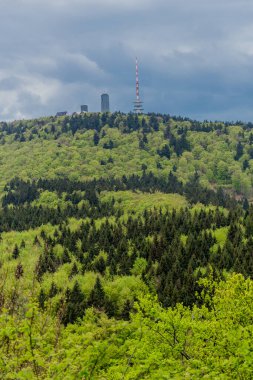 Thüringen Ormanı - Thüringen / Almanya 'da keşif turu