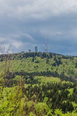 Thüringen Ormanı - Thüringen / Almanya 'da keşif turu