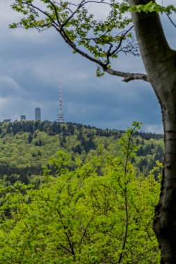 Thüringen Ormanı - Thüringen / Almanya 'da keşif turu