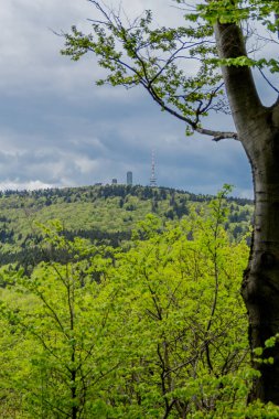 Thüringen Ormanı - Thüringen / Almanya 'da keşif turu
