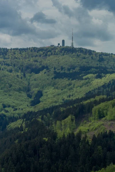 Thüringen Ormanı - Thüringen / Almanya 'da keşif turu