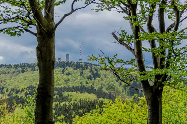 Thüringen Ormanı - Thüringen / Almanya 'da keşif turu