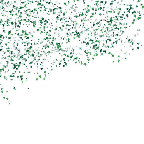 Dispersión Verde Hojas Cayendo Concepto Sobre Blanco Abstracto Fondo Texturizado — Archivo Imágenes Vectoriales