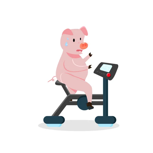 猪运动 骑自行车为健康的饮食 可爱的卡通人物向量 — 图库矢量图片