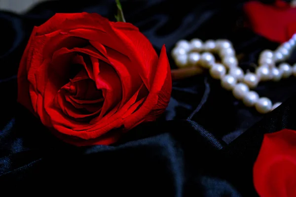 Κόκκινο Τριαντάφυλλο Μαργαριτάρια Μαύρο Μεταξωτό Ύφασμα — Φωτογραφία Αρχείου