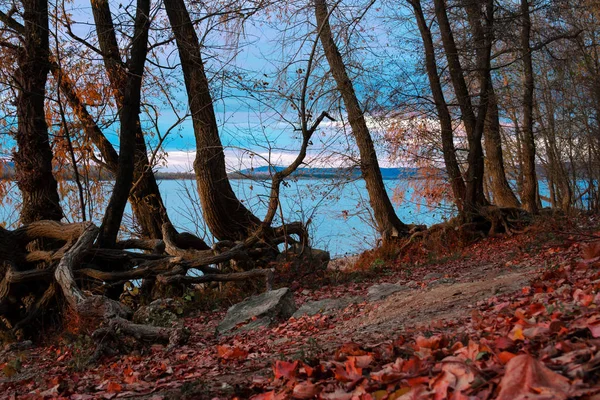 Bois Automne Regarde Rivière Les Montagnes — Photo