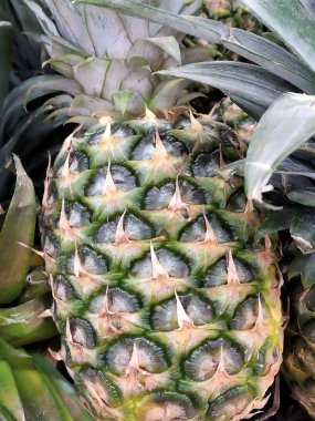 ananas bütün yakın çekim yeşil yaprakları ile arka planda pazar sağlıklı gıda