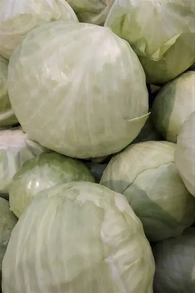 Fresh Vegetables White Cabbage Whole Heads Close Background Market Healthy — Stock Photo, Image