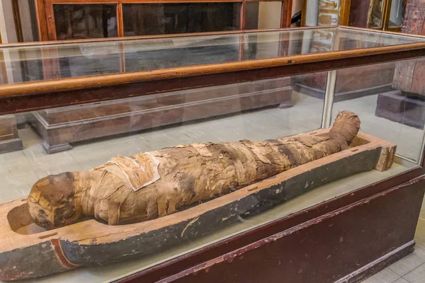 Nationale Caïro Museum Expans Gewijd Aan Het Oude Egypte Farao — Stockfoto