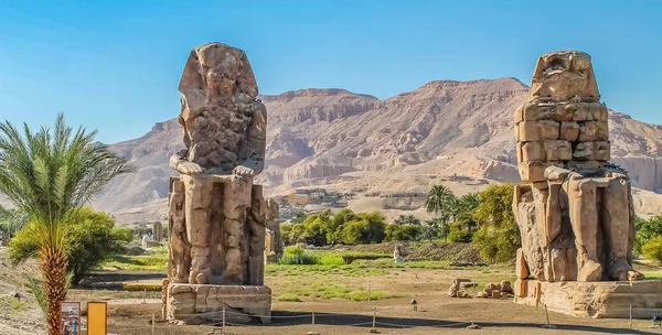 Antiguo Templo Egipcio Amon Luxor Con Columnas Hermosos Bajorrelieves Culto —  Fotos de Stock