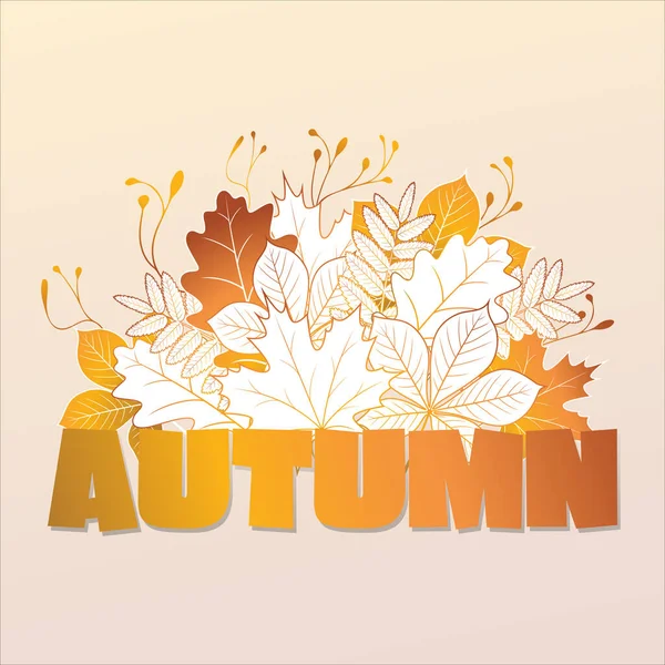 Осенний Дизайн Надписей Золотые Листья Векторная Иллюстрация Этикетки Баннера — стоковый вектор