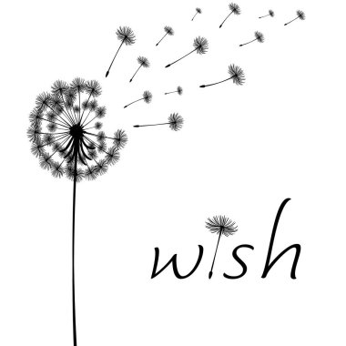 Vektör illüstrasyon karahindiba zamanı. Rüzgarda savrulan iki karahindiba. Rüzgar bir karahindiba şişirir izole edilmiş beyaz arka plan