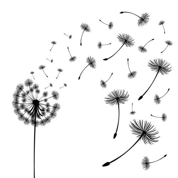 Vector illustration dandelion time. Two dandelions blowing in the wind. The wind inflates a dandelion isolated white background — Stock Vector